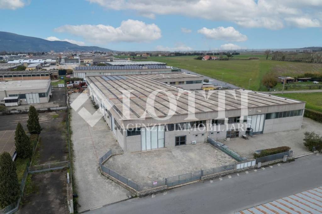 ufficio in affitto a Bientina