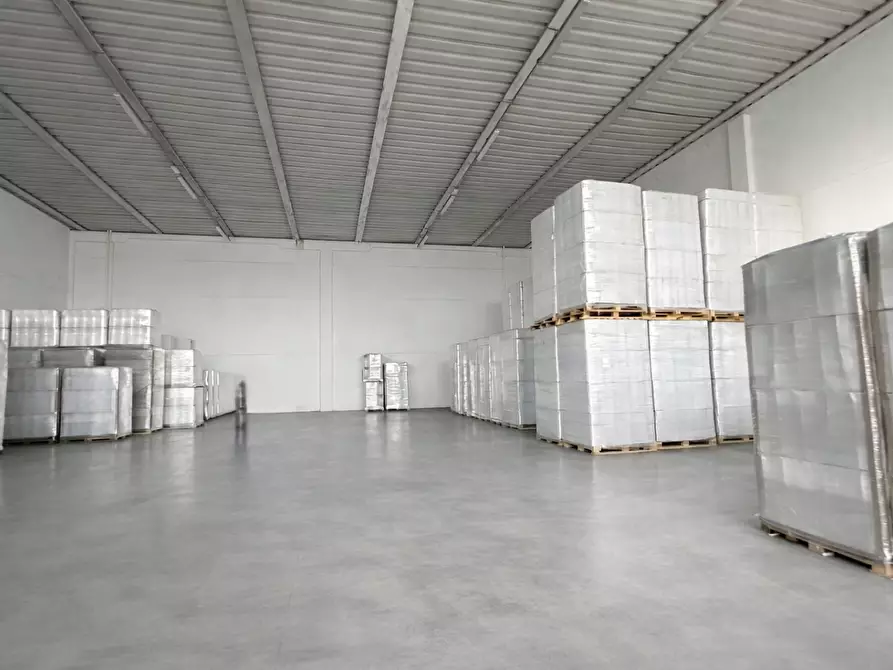 ufficio in affitto a Bientina