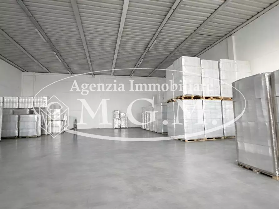 ufficio in affitto a Bientina