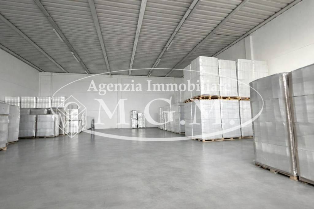 ufficio in affitto a Bientina