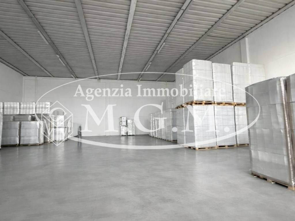 locale commerciale in affitto a Bientina