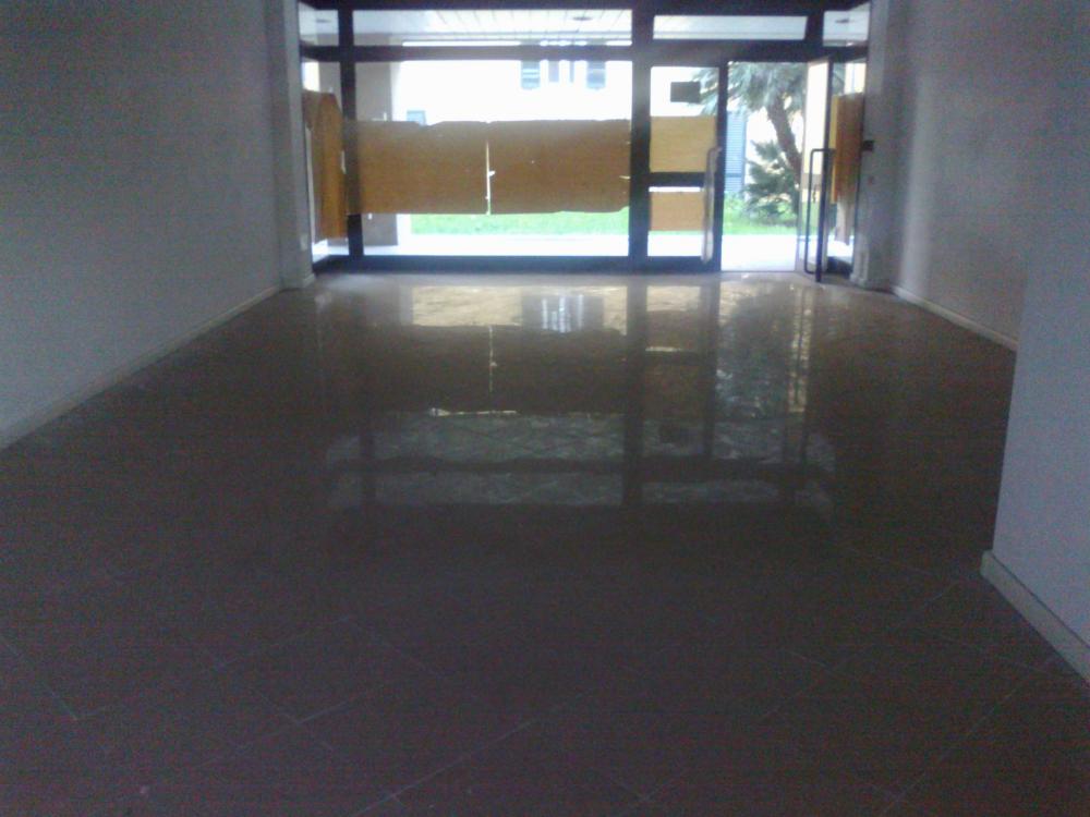locale commerciale in affitto a Bientina