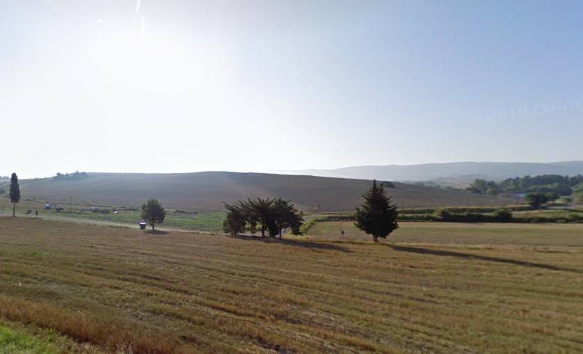 negozio in affitto a Buti