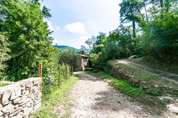 appartamento in affitto a Buti