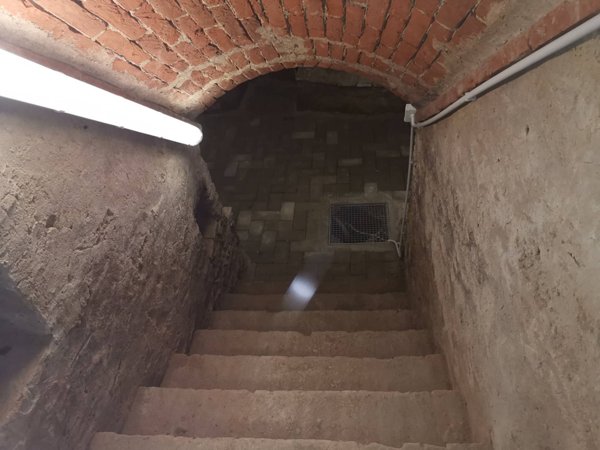 casa semindipendente in affitto a Buti