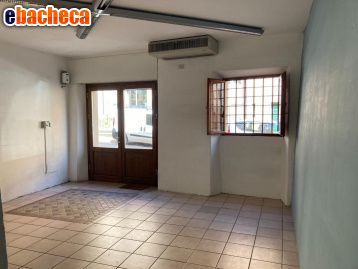 locale commerciale in affitto a Calci