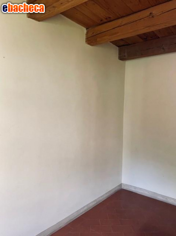 immagine annuncio 0 di 2