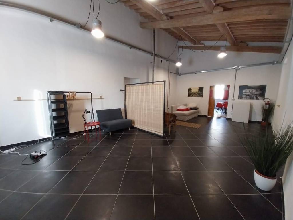 negozio in affitto a Calci