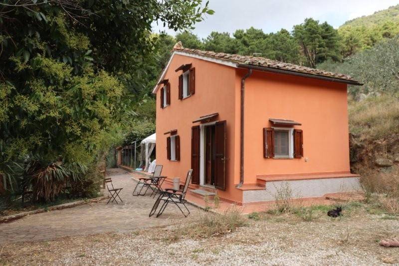 casa semindipendente in affitto a Calci in zona Tre Colli