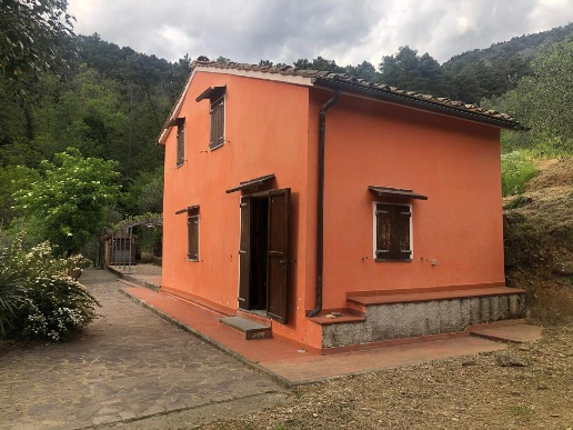 casa indipendente in affitto a Calci in zona Tre Colli