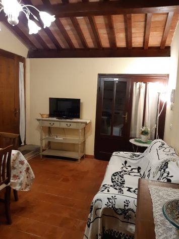 appartamento in affitto a Calci