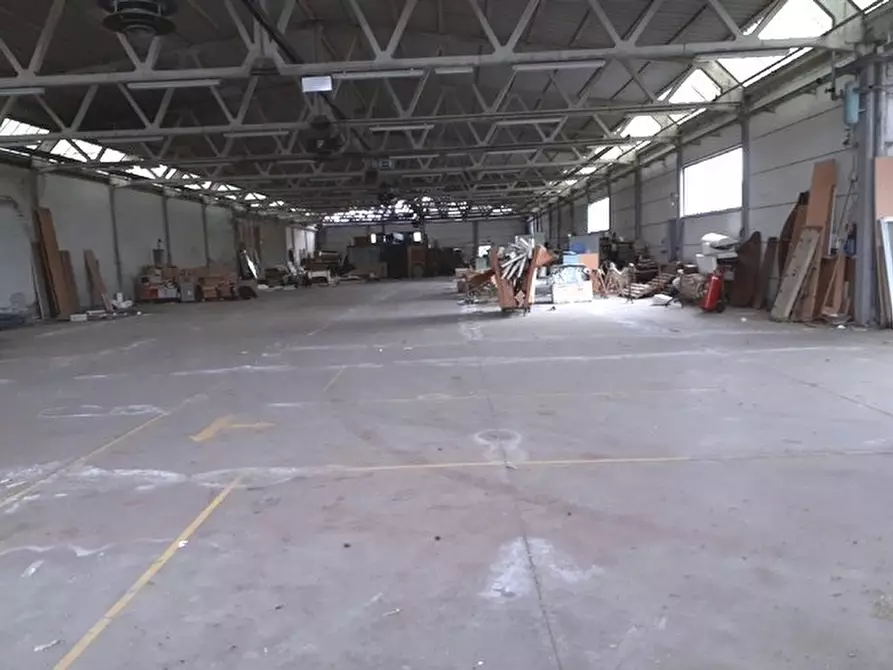 capannone in affitto a Calcinaia