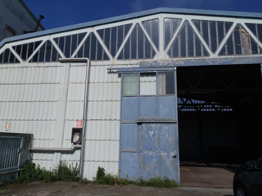 immagine annuncio 0 di 1