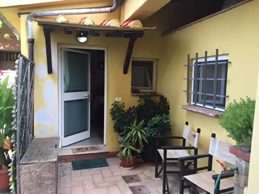 appartamento in affitto a Calcinaia