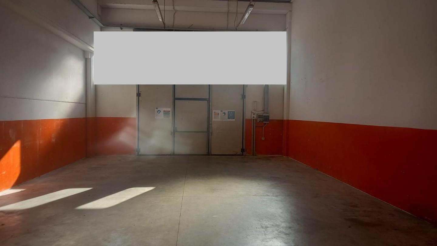 capannone in affitto a Calcinaia