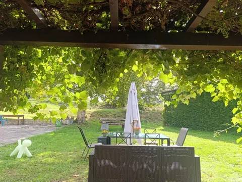 appartamento in affitto a Calcinaia
