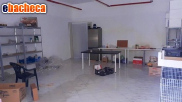 negozio in affitto a Cascina in zona Navacchio