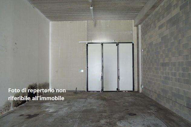 locale di sgombero in affitto a Cascina in zona Navacchio