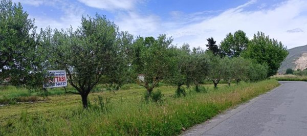 casale in affitto a Cascina in zona San Giorgio