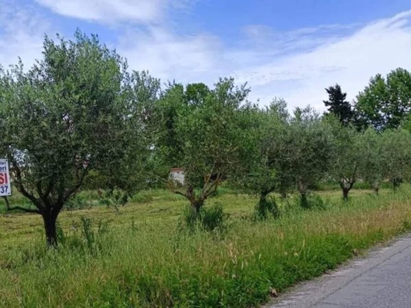 casale in affitto a Cascina in zona San Giorgio