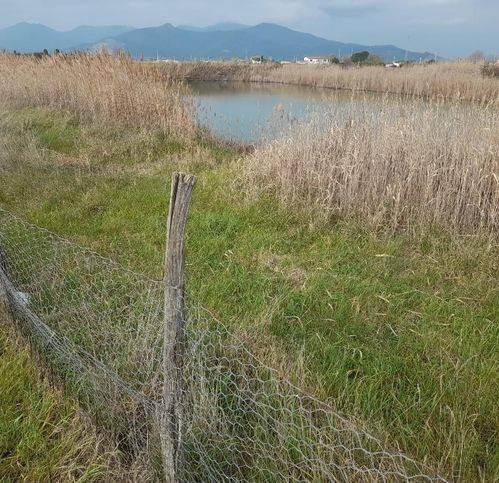 casale in affitto a Cascina in zona Latignano