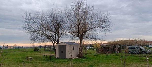 terreno agricolo in affitto a Cascina in zona San Giorgio