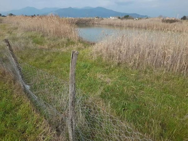 casale in affitto a Cascina in zona Latignano
