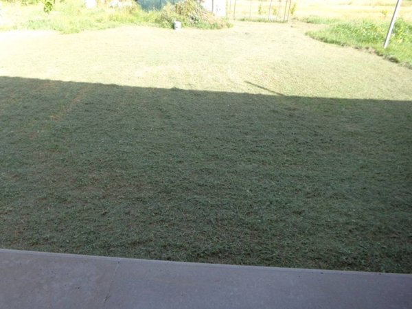 casa indipendente in affitto a Cascina in zona Ripoli
