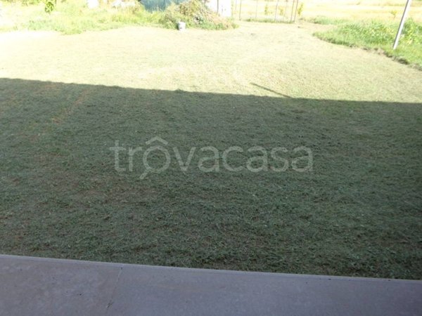 casa indipendente in affitto a Cascina