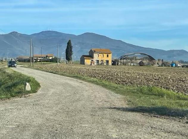 appartamento in affitto a Cascina in zona Marciana