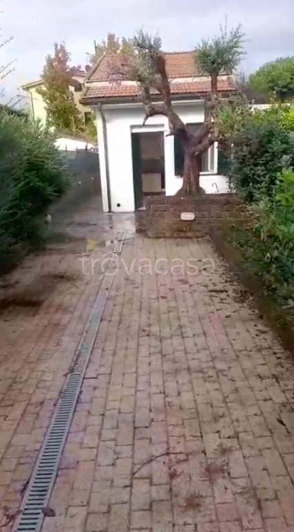 casa indipendente in affitto a Cascina in zona Musigliano