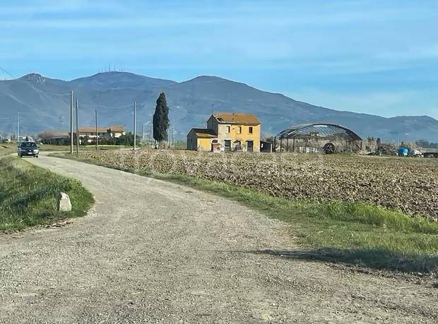 appartamento in affitto a Cascina in zona Marciana