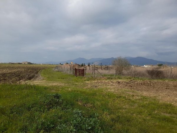 casale in affitto a Cascina