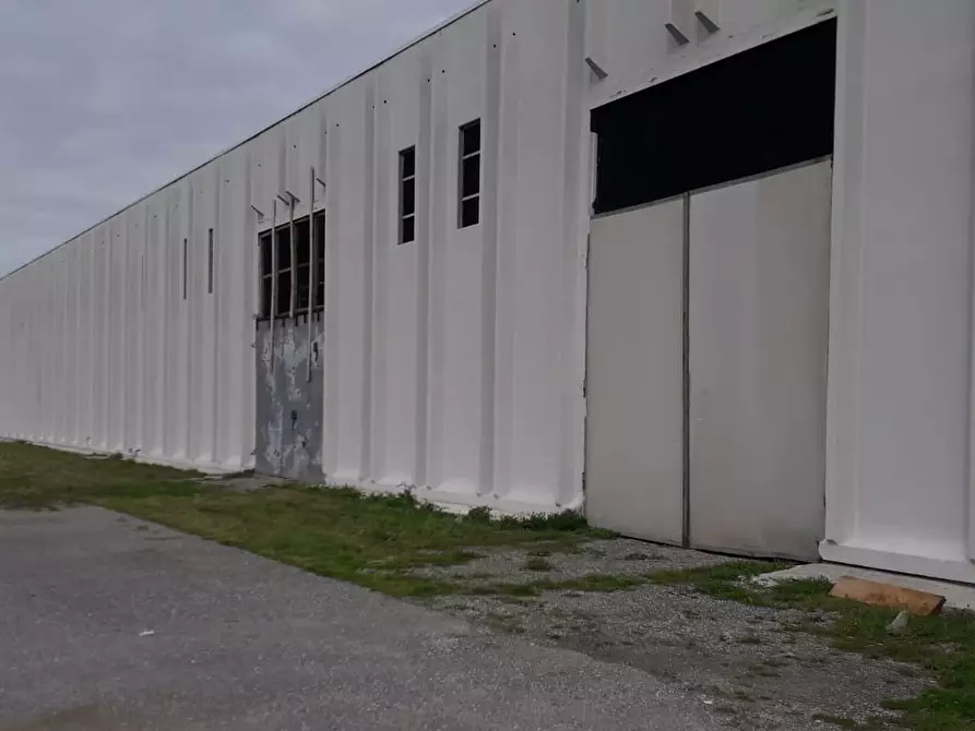 capannone in affitto a Cascina in zona San Frediano a Settimo