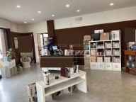 appartamento in affitto a Cascina in zona Navacchio