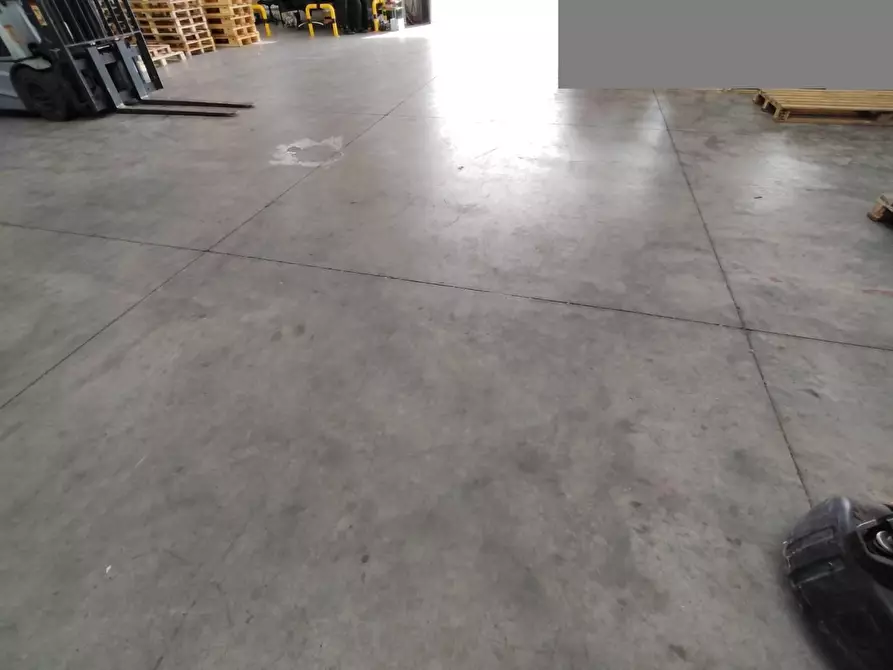 immagine annuncio 0 di 1