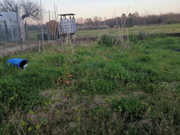 appartamento in affitto a Castelfranco di Sotto in zona Orentano