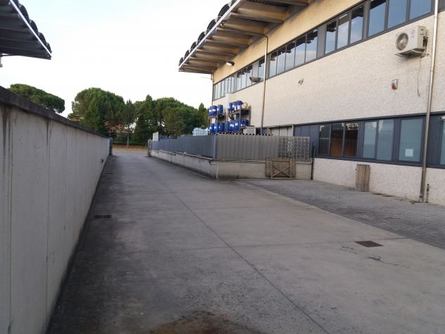 locale commerciale in affitto a Castelfranco di Sotto