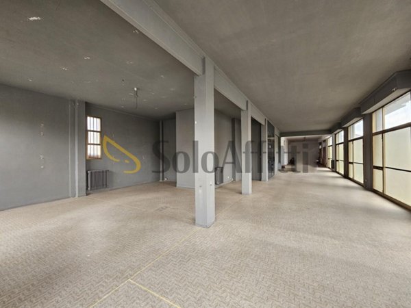 appartamento in affitto a Castelfranco di Sotto