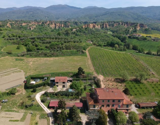 appartamento in affitto a Castelfranco di Sotto