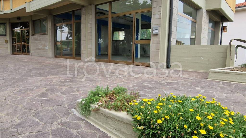 negozio in affitto a Castelfranco di Sotto