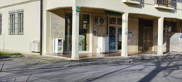 negozio in affitto a Castelfranco di Sotto