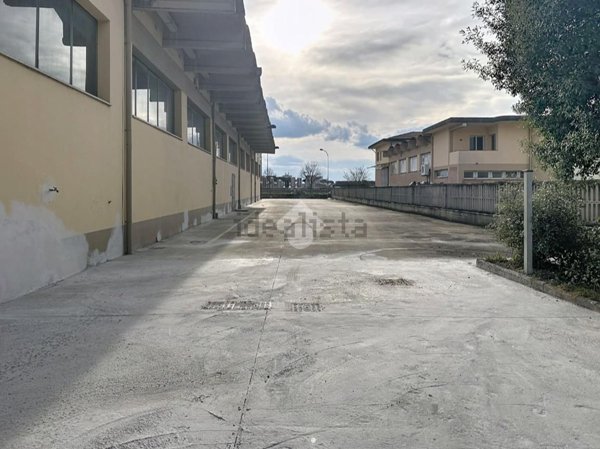 immagine annuncio 0 di 1