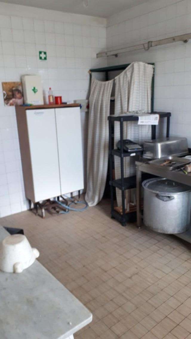 locale commerciale in affitto a Fauglia