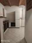 appartamento in affitto a Fauglia