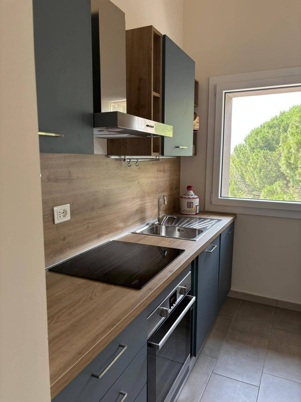 appartamento in affitto a Fauglia