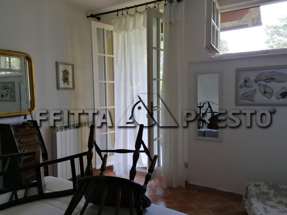 appartamento in affitto a Fauglia