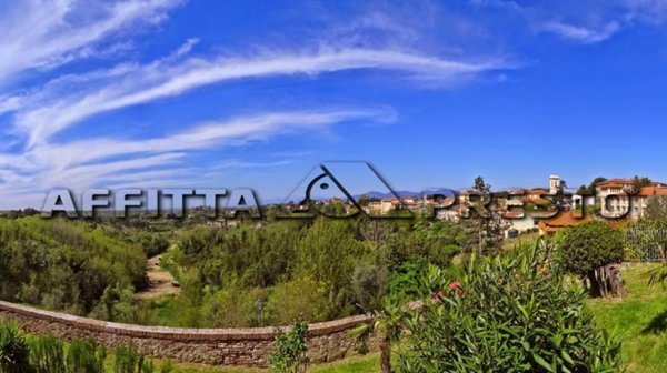 appartamento in affitto a Fauglia