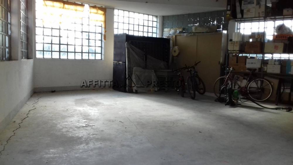 locale di sgombero in affitto a Fauglia