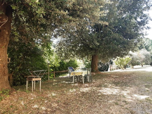 appartamento in affitto a Fauglia